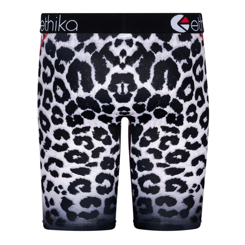 Fyre Kat Boys Ethika Boxers