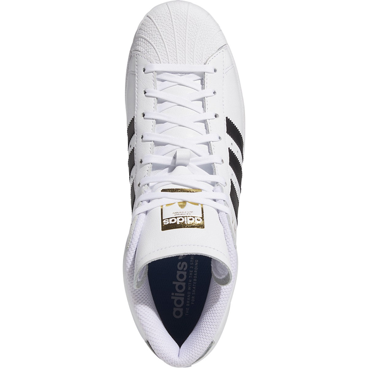 White Pro Model ADV Adidas Skateboarding Shoe Top