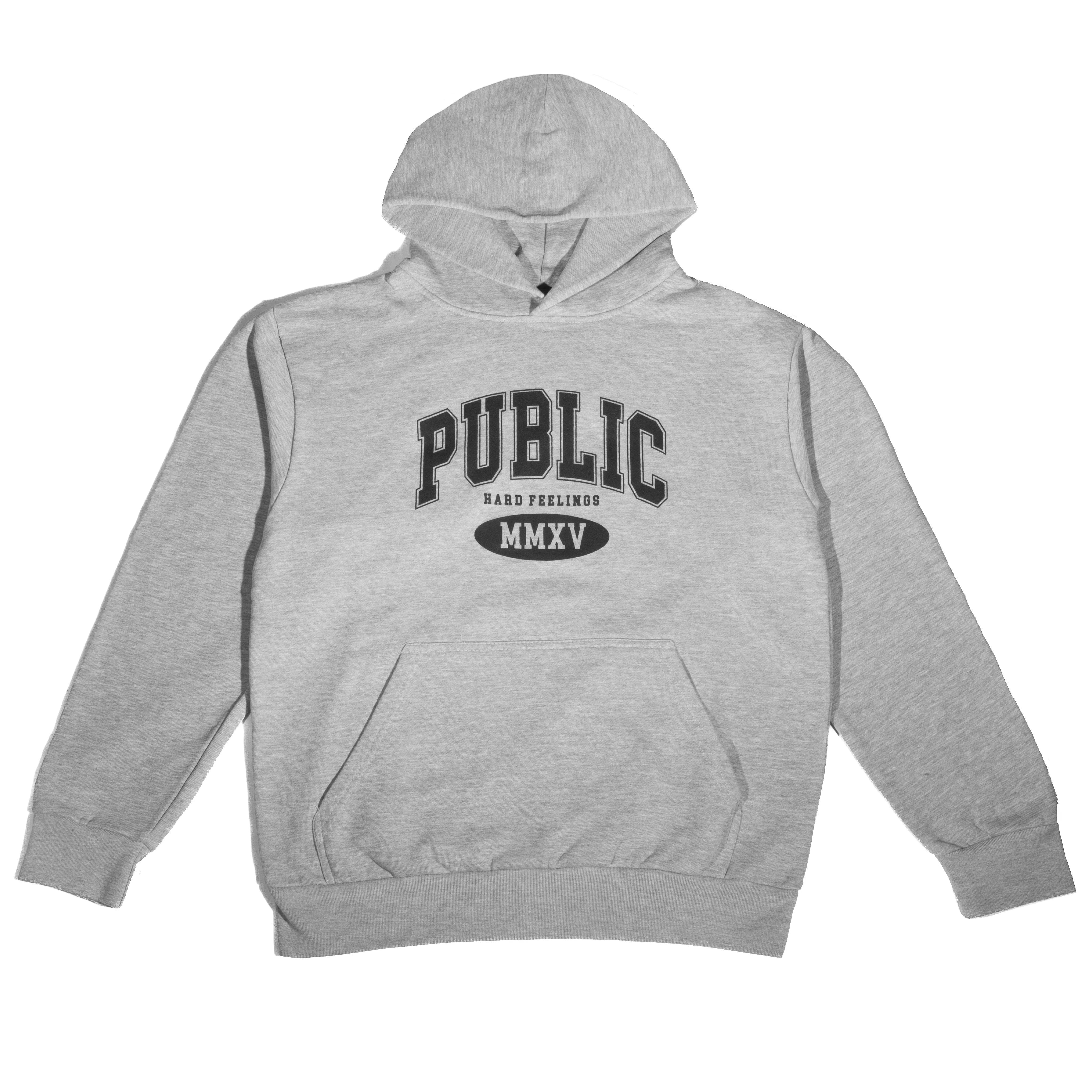 Grey Collegiate Public Snowboards Hoodie