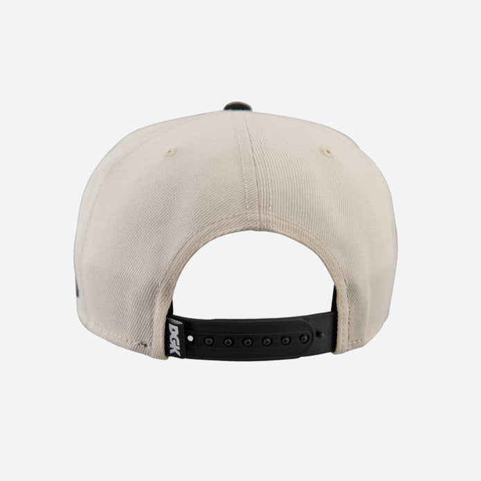 Sand Hater DGK Snapback Hat Back