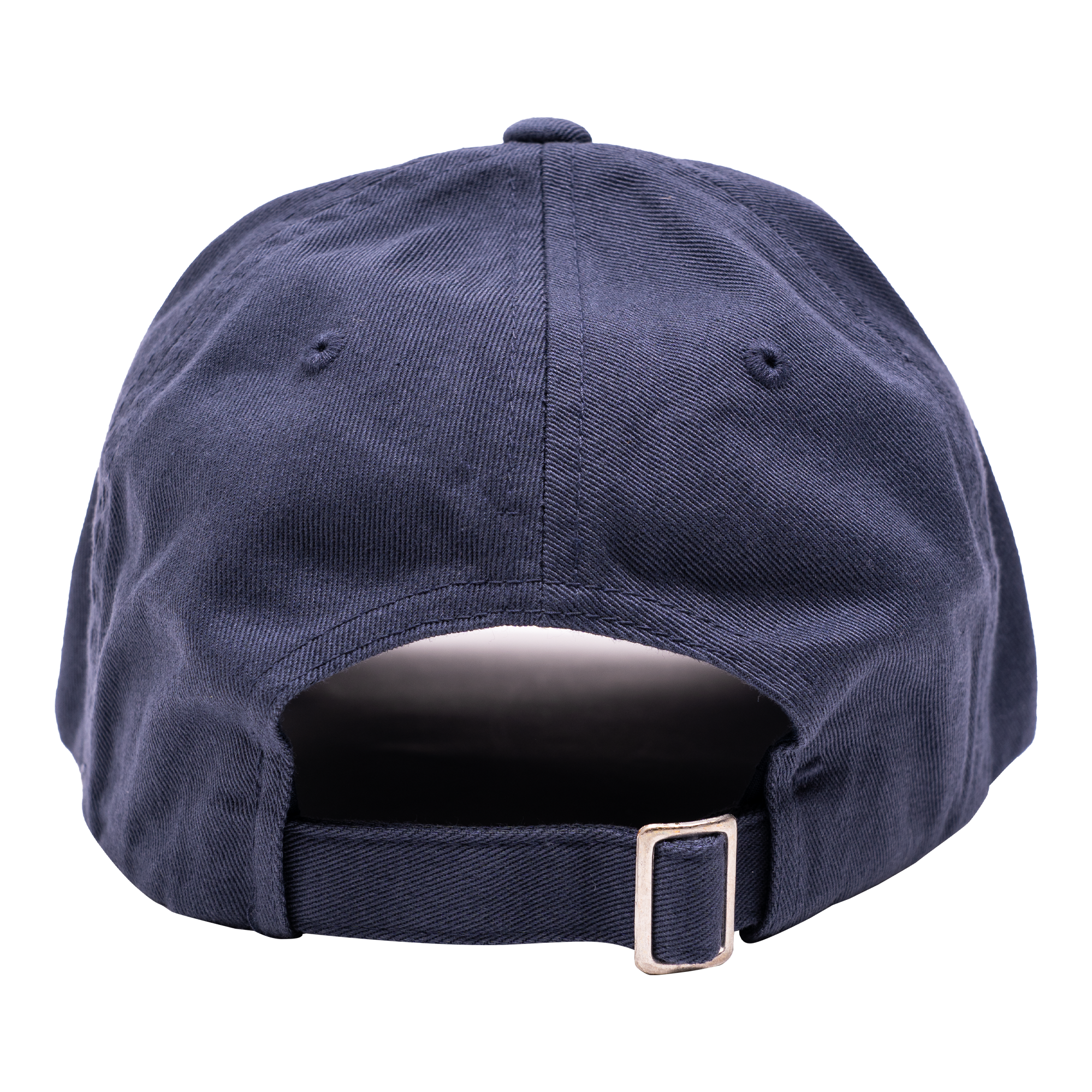 Navy Box Logo Exodus Dad Hat Back