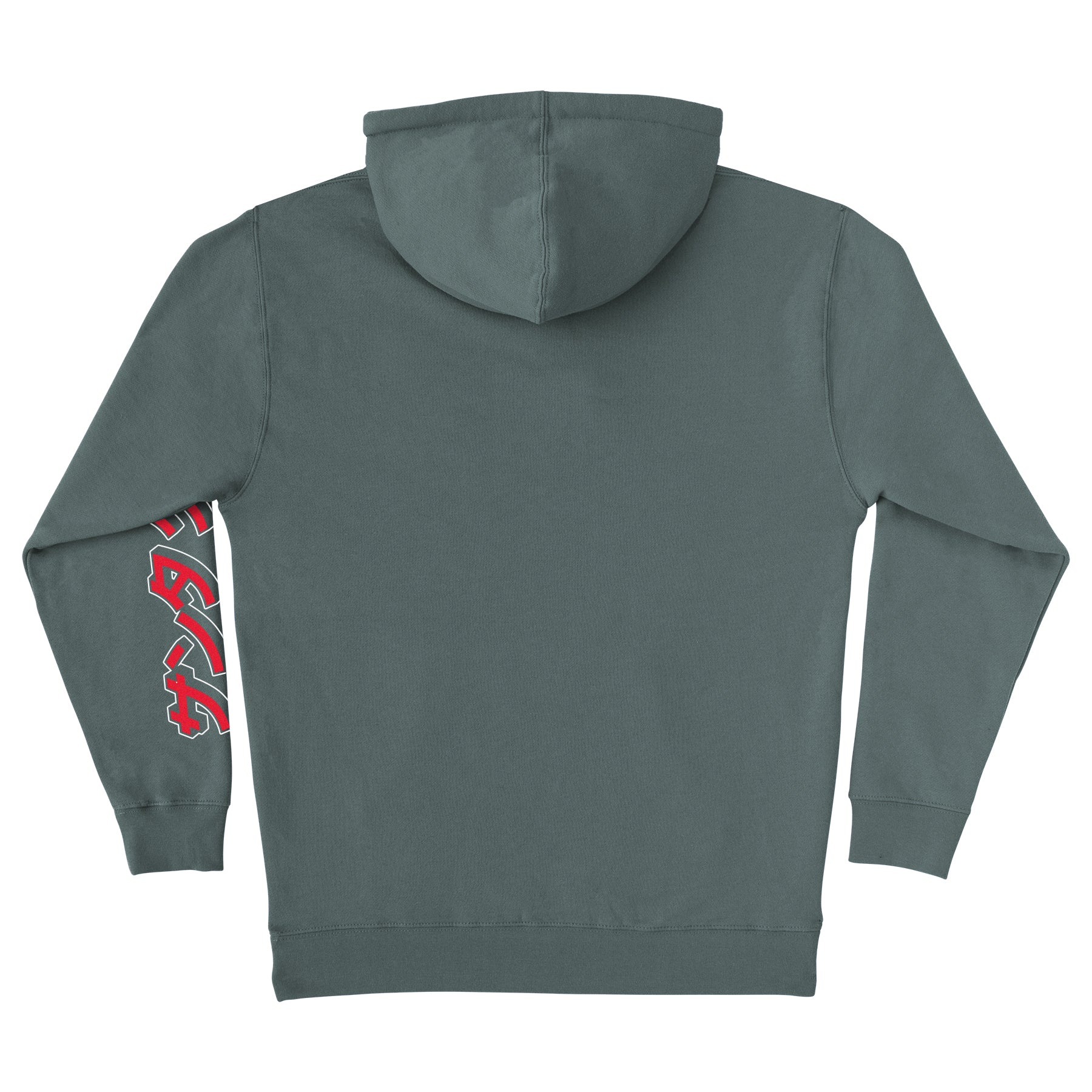 Alpine Green Poké Ball Dot Pokémon x Santa Cruz Hoodie Back