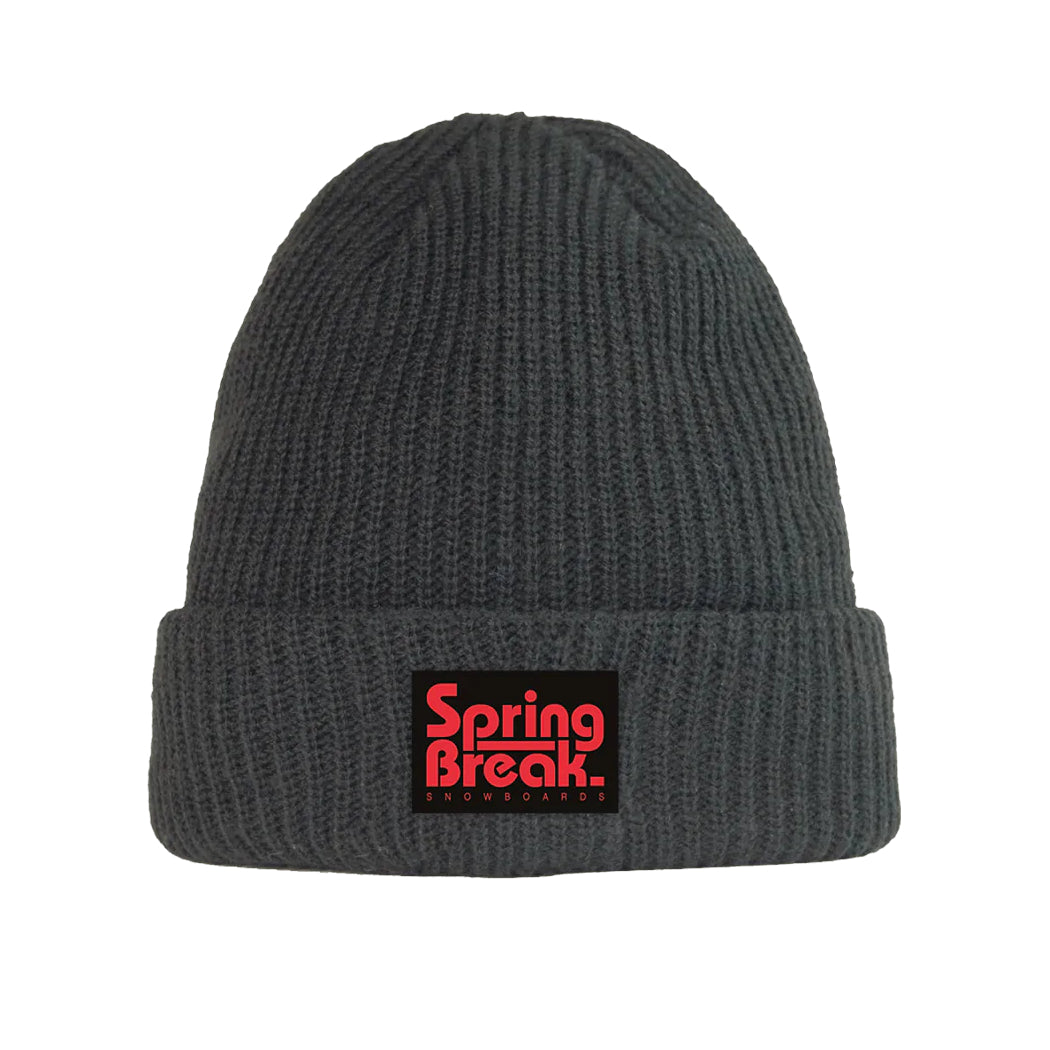 Charcoal Spring Break Beanie