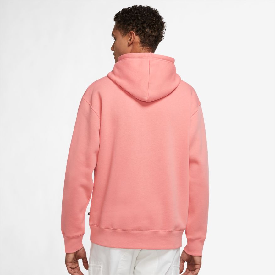 Pink Salt Nike SB Logo Hoodie Back