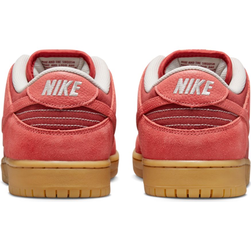Nike Sb Adobe Dunk Lows Back View