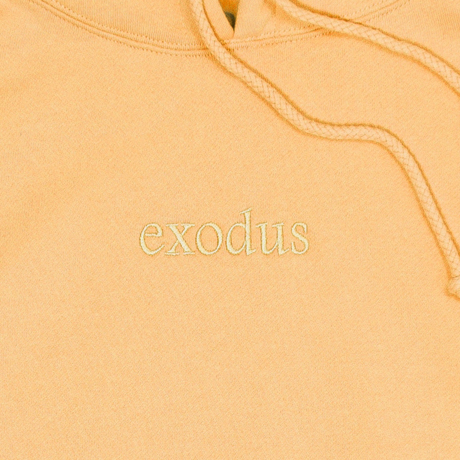 Exodus Clean Embroidered Hoodie - Peach