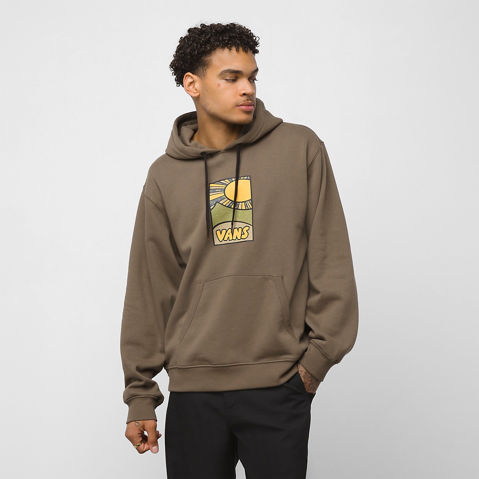 Vans skate online hoodie