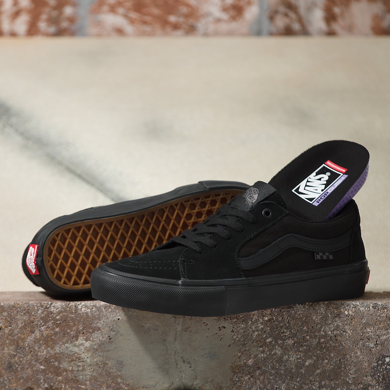 Vans Skate Sk8-Low Skateboard Shoe Black/Black - Main Image