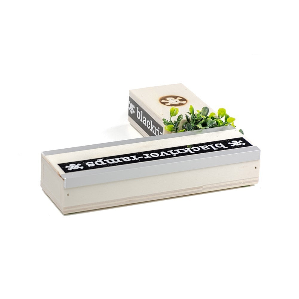 Blackriver Ramps Fingerboard Box #7