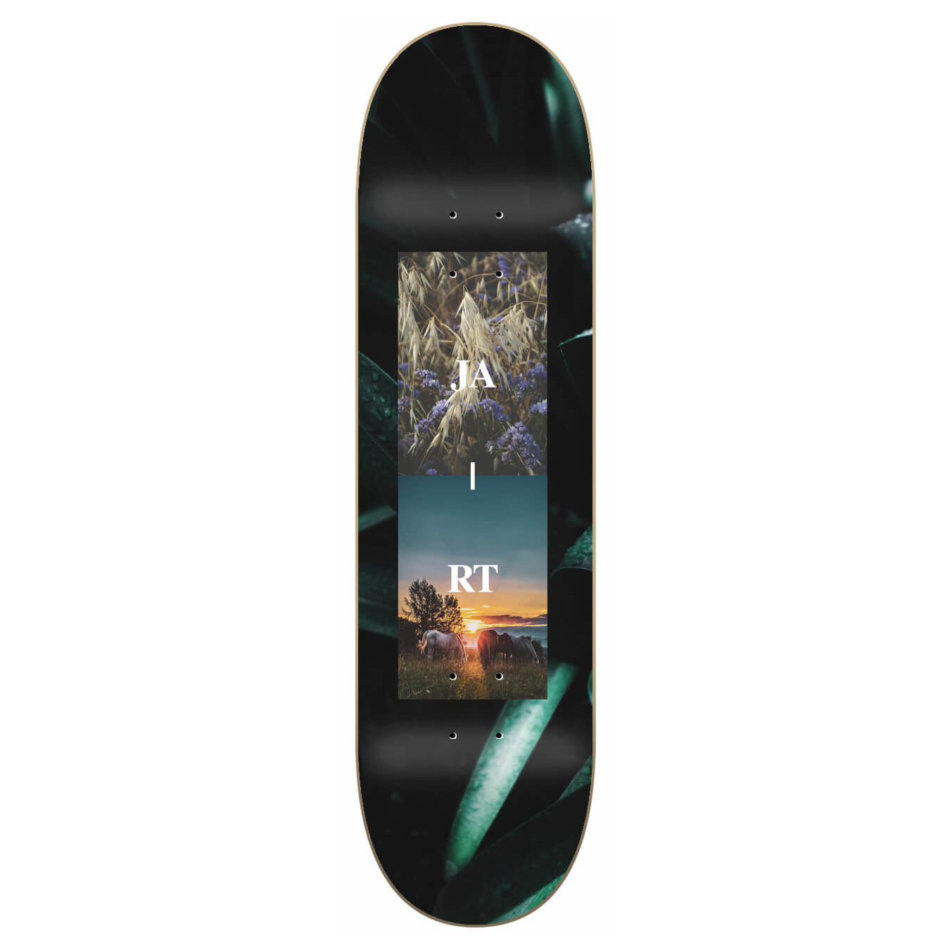 Array Nature Jart Skateboard Deck