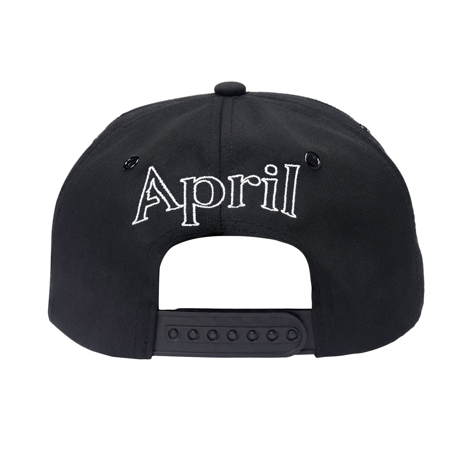 Embroidered April Skateboards Snapback Hat Back