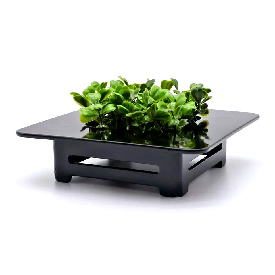 GrindRight Small Fingerboard Planter Ledge - Black