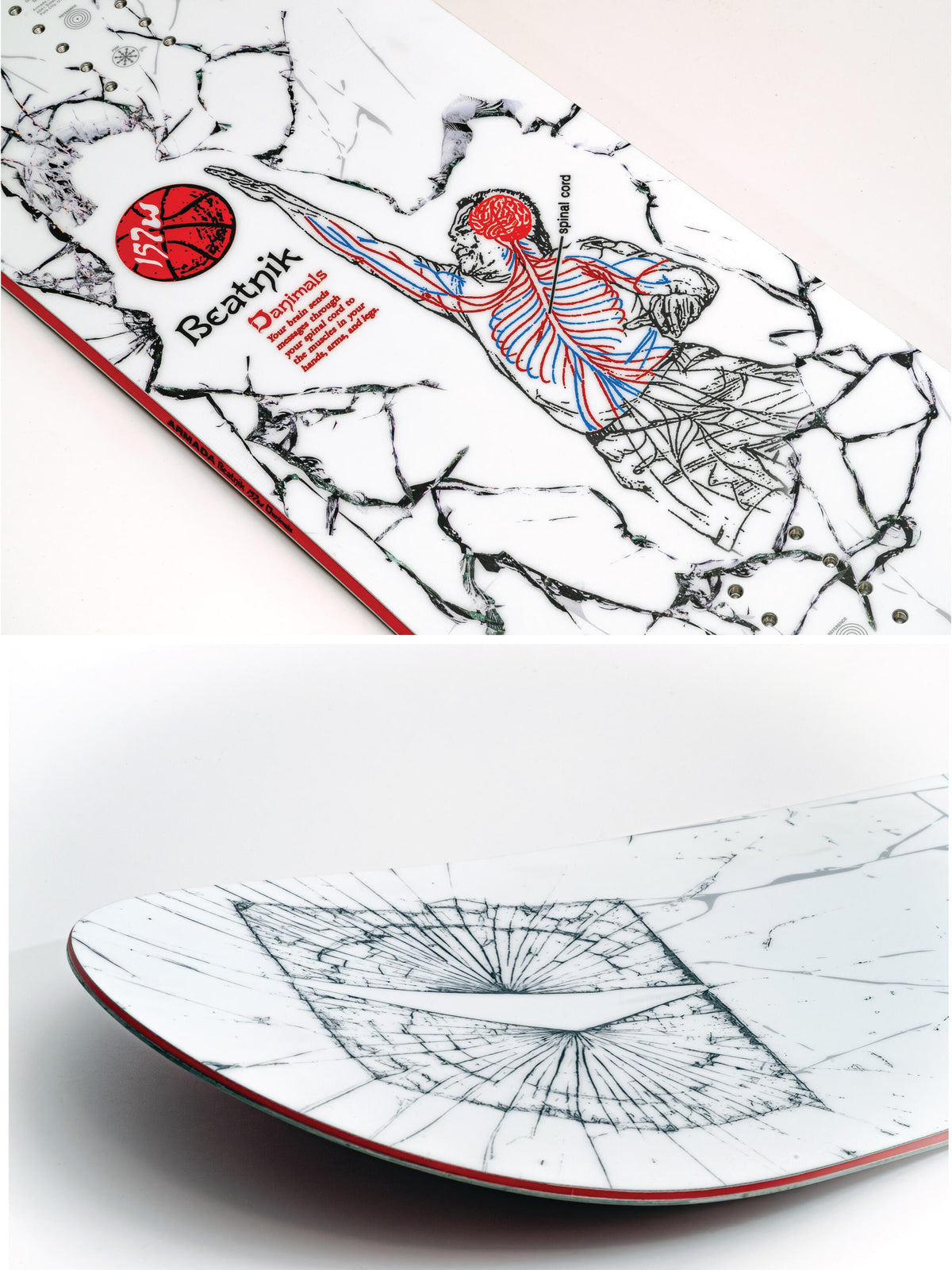 2027 Armada Beatnik Danimals pro model top design with a natomy of a person dunking a basketball