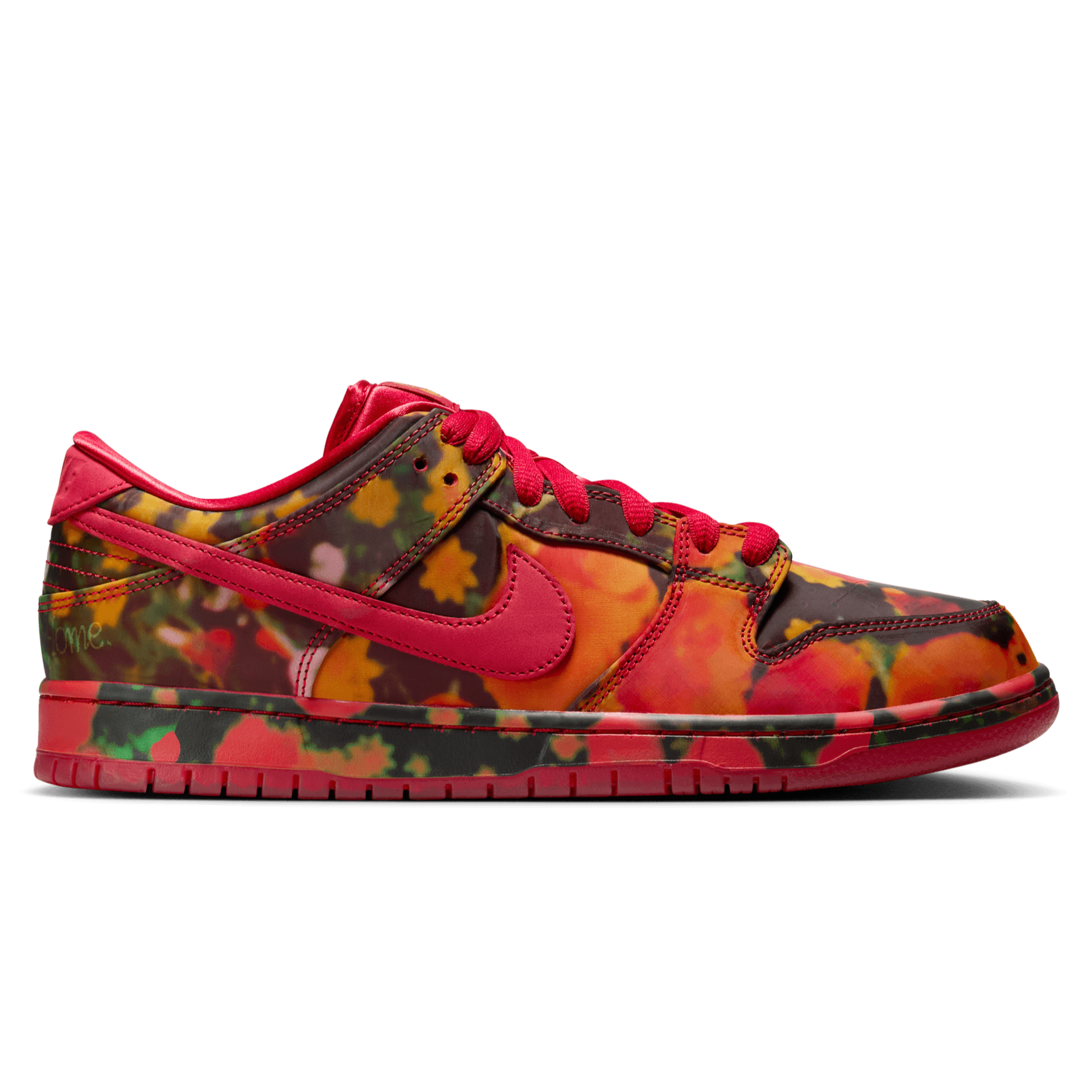Wizard of OZ Nike SB Dunk Low Skate Shoe