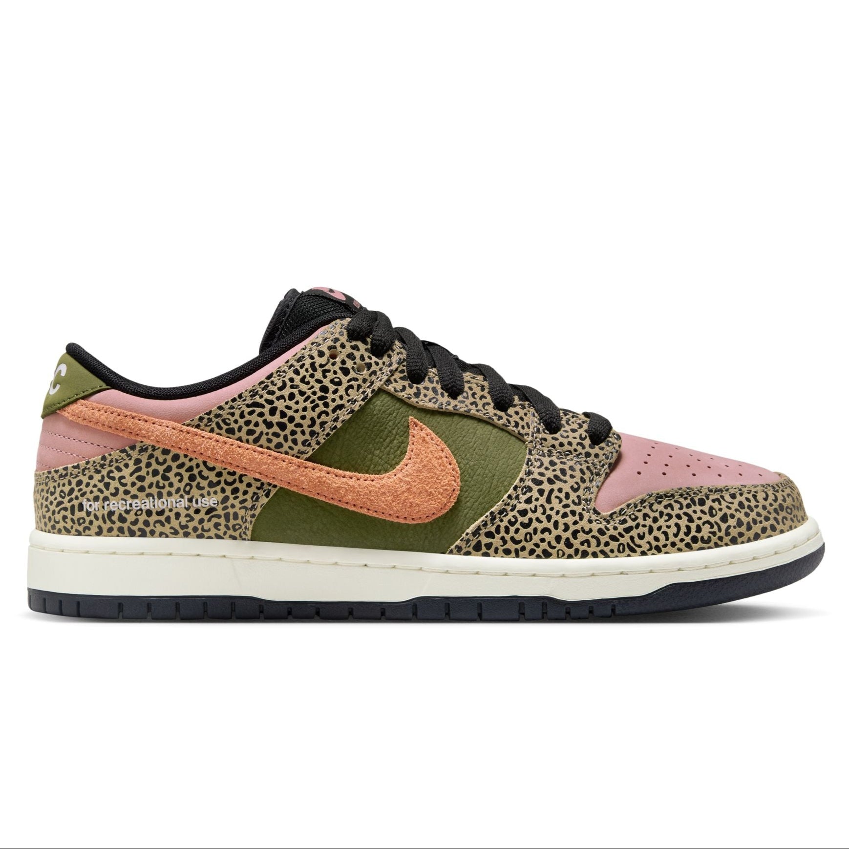 Arts & Rec Nike SB Dunk Low Pro Skate Shoe