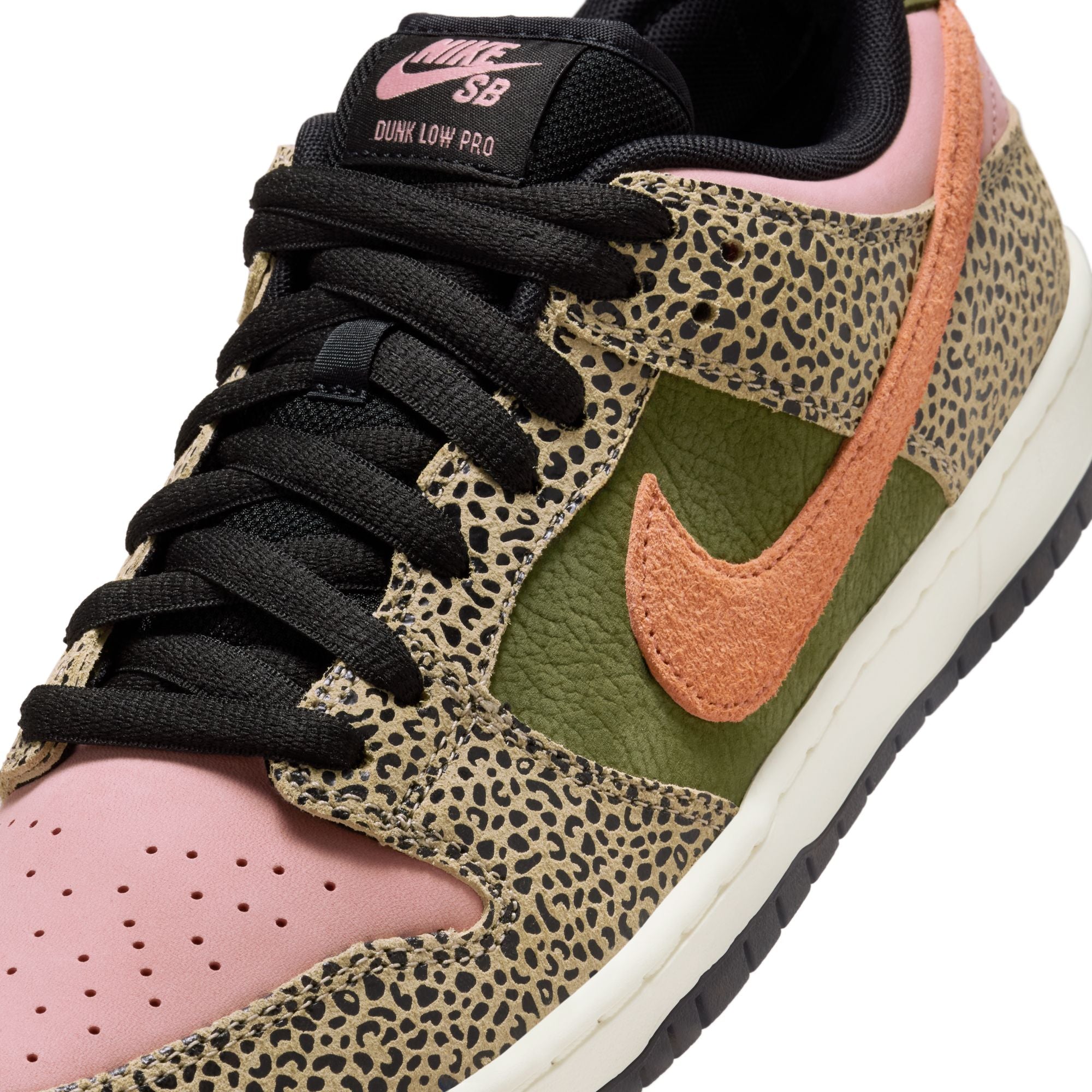 Arts & Rec Nike SB Dunk Low Pro Skate Shoe Detail