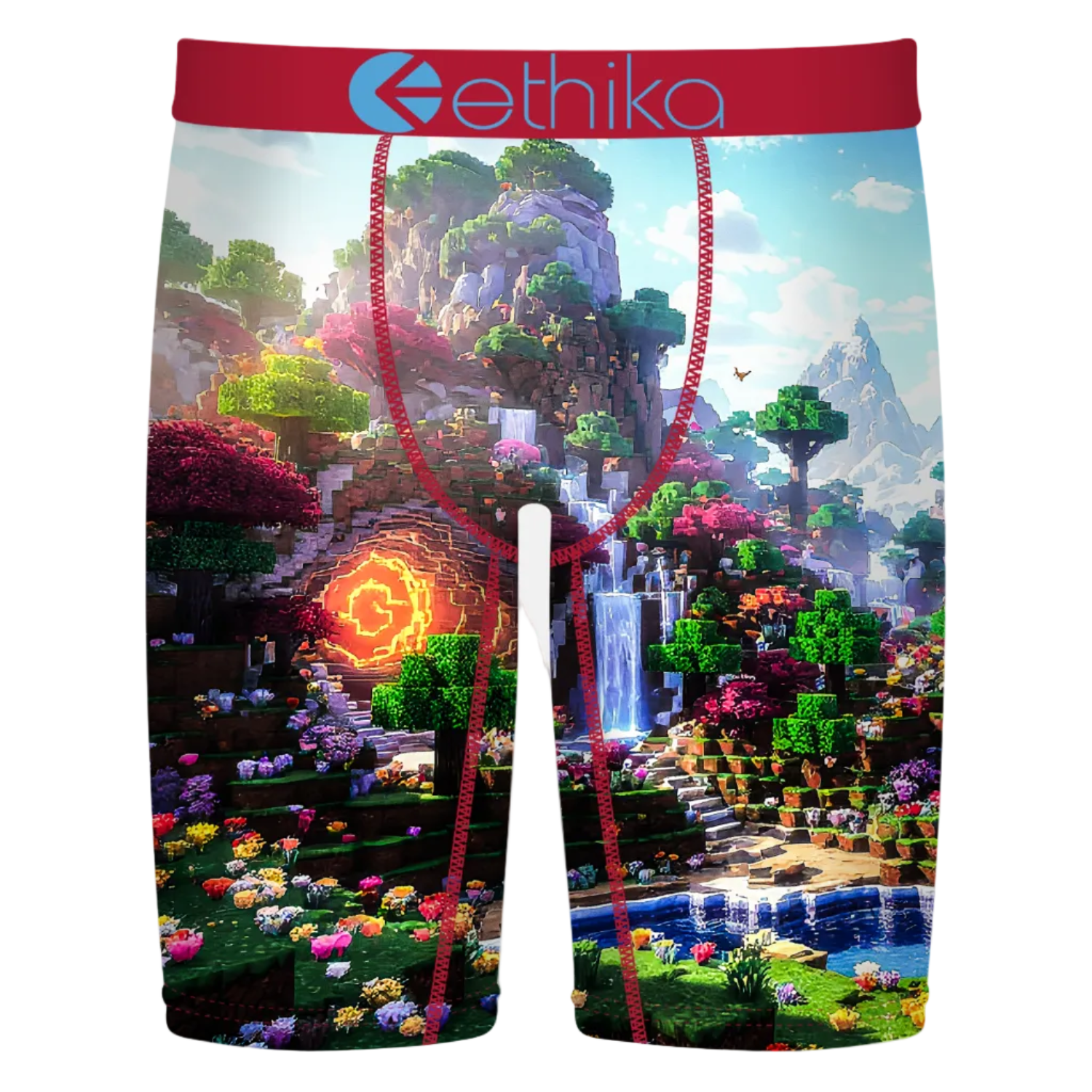 Block Bound Minecraft Ethika Boxers