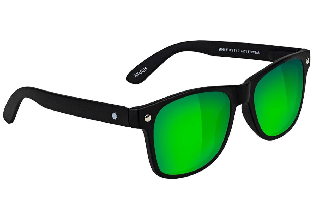 Matte Black Leonard Polarized Glassy Sunglasses