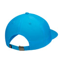 Photo Blue Vintage Vibes Nike SB Hat Back