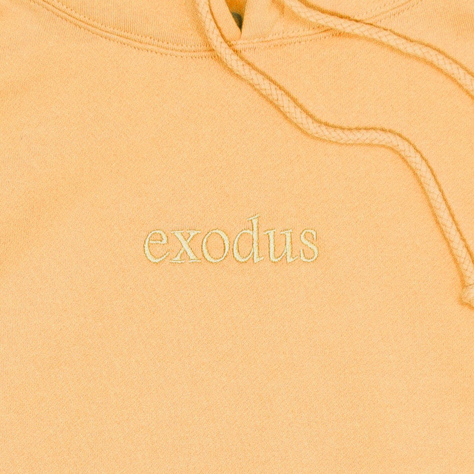 Exodus Clean Embroidered Hoodie - Peach