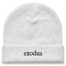 Exodus Clean Cuff Beanie - Ash