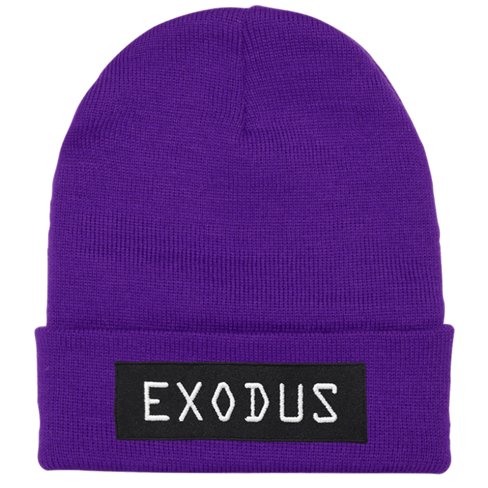 Exodus Optical Watch Beanie - Purple