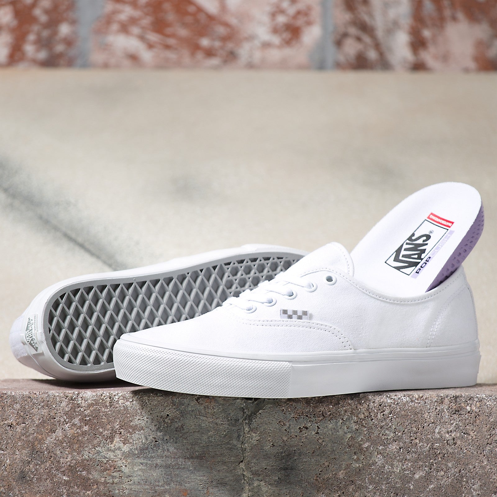 True White Skate Authentic Vans Skateboarding Shoe