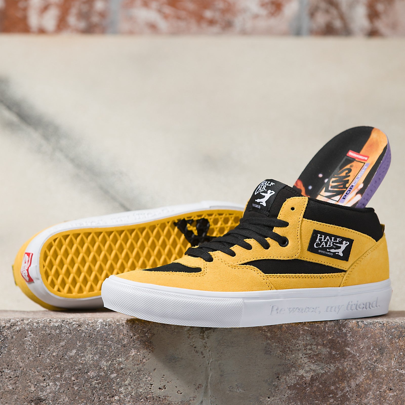 Bruce Lee x Vans Skate Half Cab Shoe