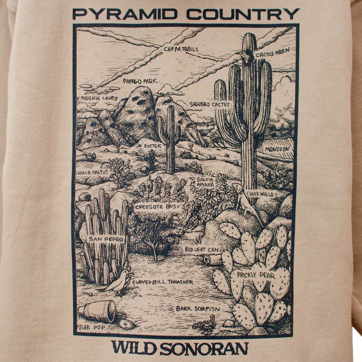 Pyramid Country Wild Sonoran PO Hoodie