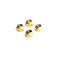Exodus Premium Fingerboard Lock Nuts - 4pk