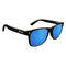 Glassy Leonard Sunglasses - Black/Blue Mirror
