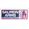 Tech Salmon Arms Sticker